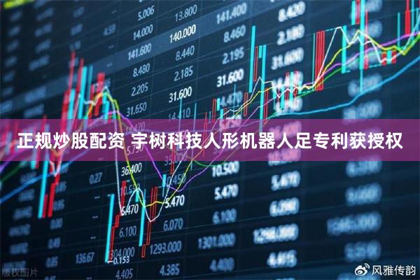 正规炒股配资 宇树科技人形机器人足专利获授权